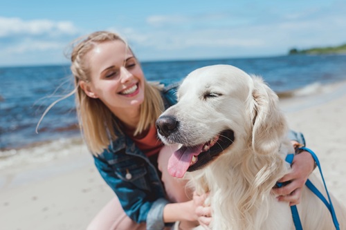 Pet-Friendly Beach Vacations in North Mytle Beach