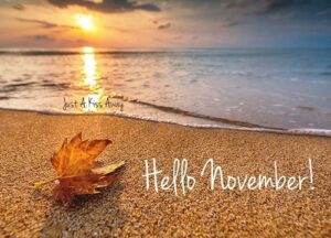 Coastal escape in North Myrtle Beach SC